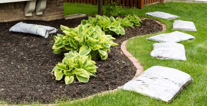 Landscaping: The Best Idea You’ve Ever Had - 糖果派对2